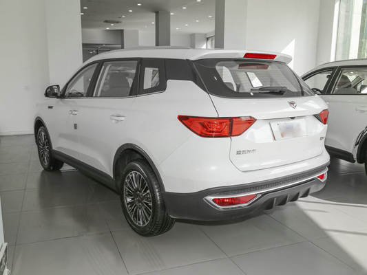 ถังน้ำมันเชื้อเพลิง 55L สีขาว 7 ที่นั่ง รถ SINOTRUK VGV รถ SUV มือสอง 175 Km/H